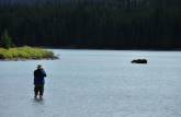 Fotografando um alce que se alimenta no Maligne Lake, no Jasper National Park, em Alberta, no Canadá